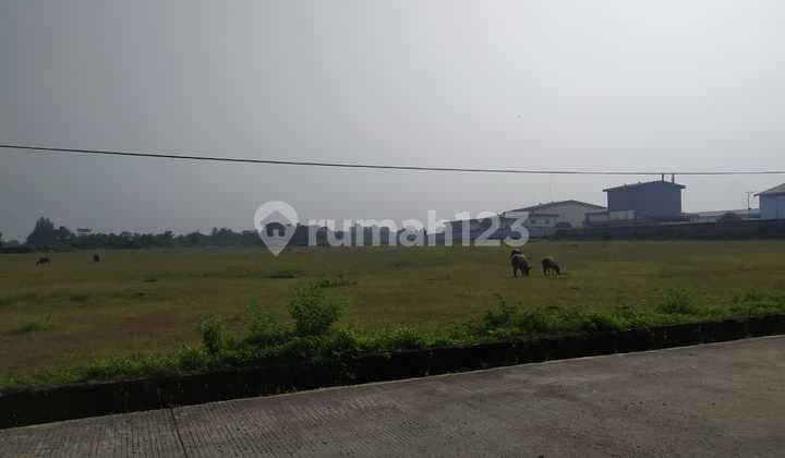 Kavling Industri Harga 1 Jutaan Padat Sudah Beton Cikande Serang Banten