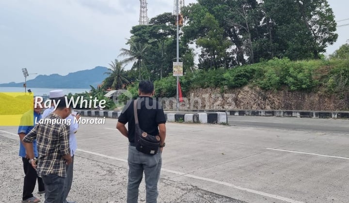Tanah Komersil Terletak di area Pelabuhan Bakau Heni View Laut Pelabuhan Bakauheni Sangat cocok utk Hotel Resort Menara Siger