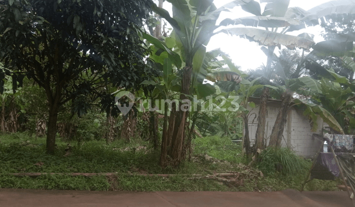 Tanah pekarangan kadugede kuningan dkt cirebon majalengka tasikmalaya