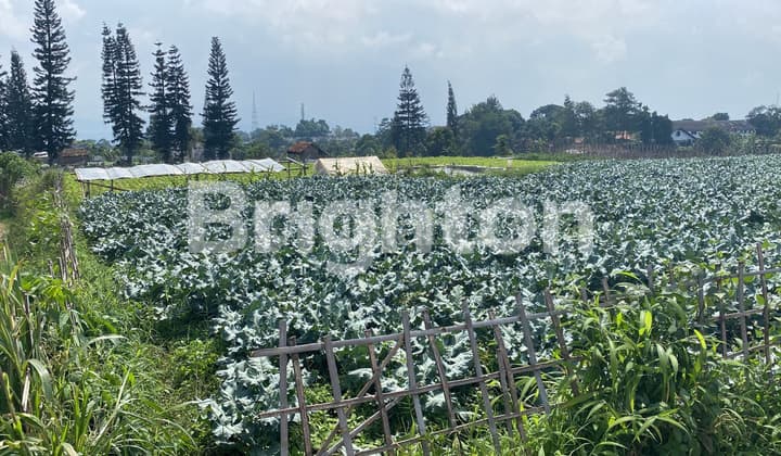 TANAH MATANG DENGAN VIEW CANTIK