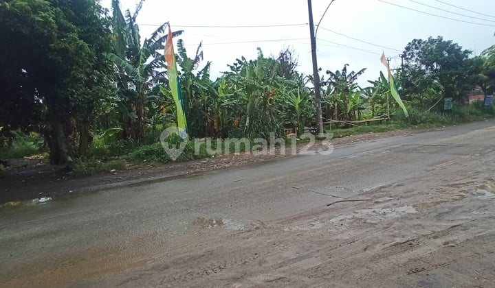 Tanah Pinggir Jalan Raya Cisauk Lapan Serpong Lt 4000m2 Termurah