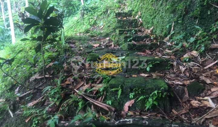 Tanah Jual Lokasi Senganan