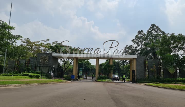 Golden Silk Acacia Kedaton Golf Lot