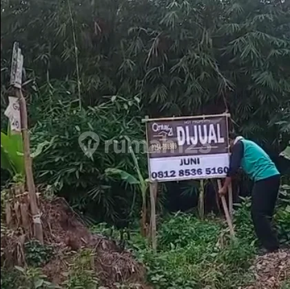 Lahan Pinggir Jalan Pager Agung Cipocok Belakang Polda Banten
