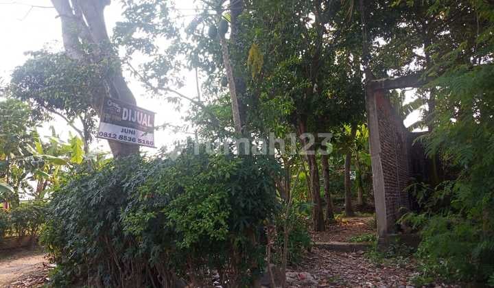 Lahan Murah Taman Ciruas Permai