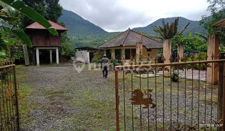 DIJUAL TANAH MURAH BONUS BANGUNAN BEDUGUL