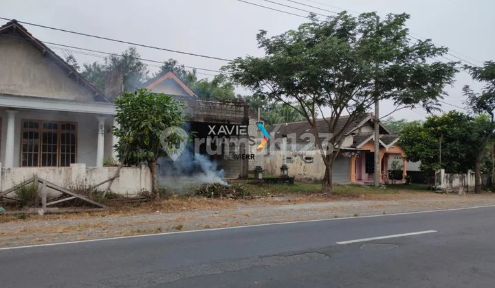 Dijual Tanah Blitar Nol Jalan Propinsi Kediri Dijual Tanah Blitar Nol Jalan Propinsi Kediri