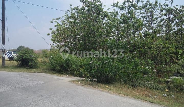 Yard Land Suitable for Investment