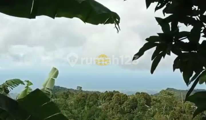 Tanah Jual Lokasi Munduk