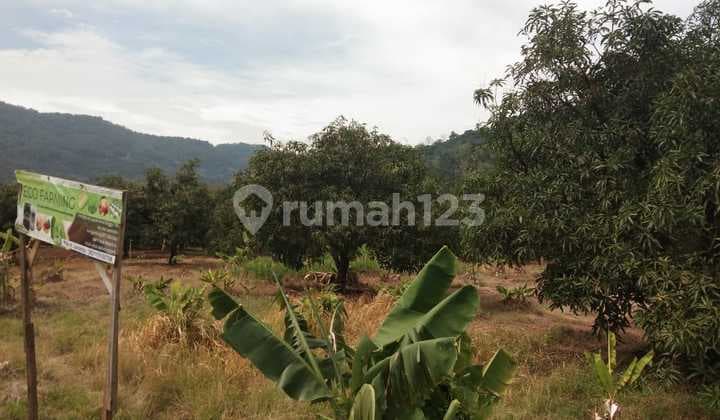 Tanah Darat Luas Strategis dekat Bunderan Munjul Majalengka