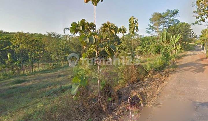 Tanah Wisata Taman Toga Ngunut Karanganyar Cocok Untuk Invest