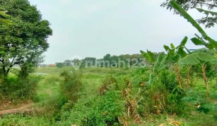 Pasuruan. Pandaan. Desa Tawangrejo.lahan Siap Bangun