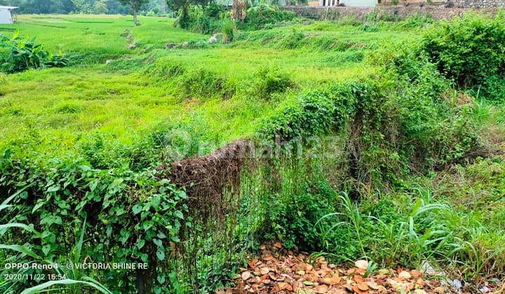 Pasuruan. Desa Ketanireng.prigen. Komersial Area