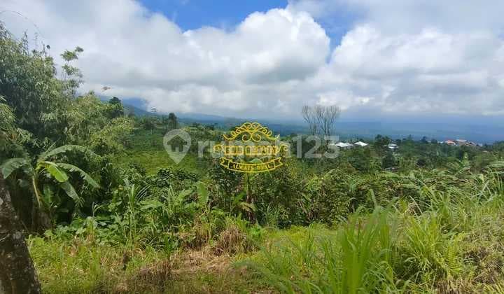 Tanah Jual Lokasi Munduk