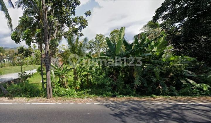 TANAH MAINROAD SERIRIT SINGARAJA LOVINA BULELENG BALI KAWASAN VILLA DAN RAMAI