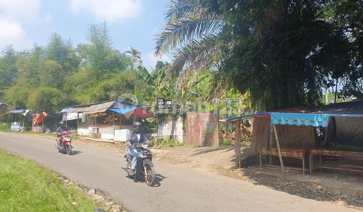 Tanah Di Sewa Di Ciawi Bogor, Ron