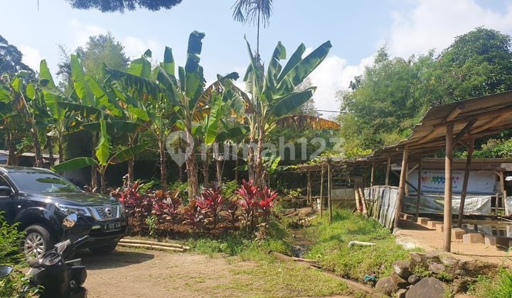 Land for rent