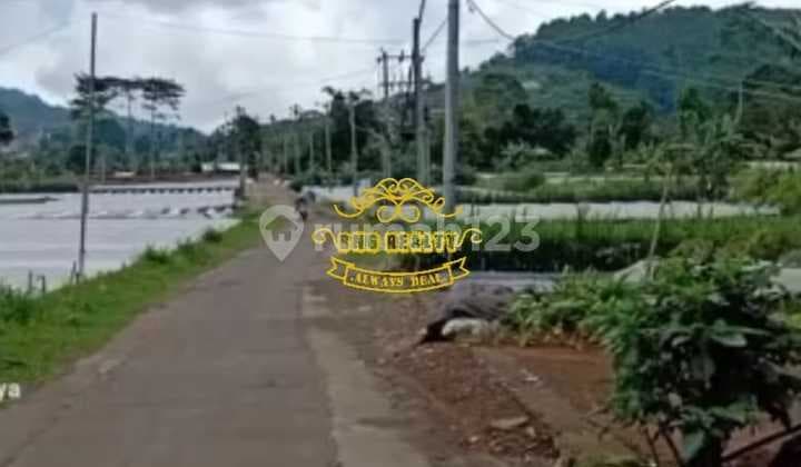 Tanah Jual Lokasi Bedugul