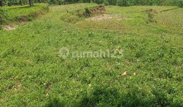 Tanah untuk bisnis investasi dipabuaran Sukamakmur