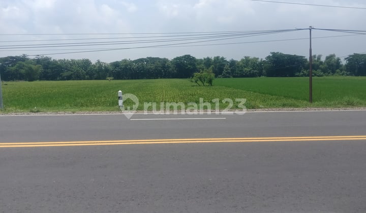 Tanah Industri Murah Di Madiun