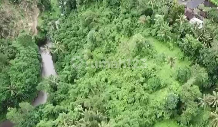 Tanah murah bu view sawah sungai dan laut di Gianyar bali