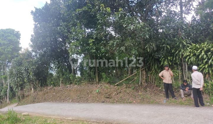 Tanah untuk berkebun atau investasi diciburayut