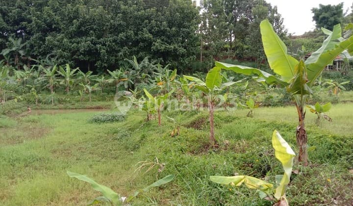 Jual Cepat Tanah Lahan Murah Dengan Luas 8.672m² Di Cipicung Cijeruk Bogor