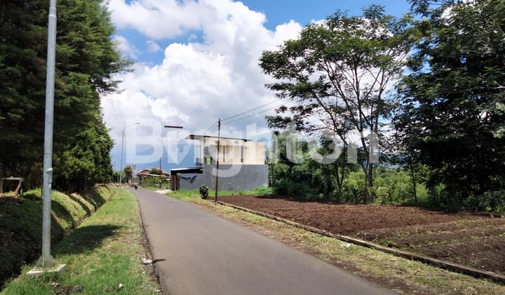 GRATIS VILLA MEWAHNYA!!! PERKEBUNAN JERUK DI KOTA BATU