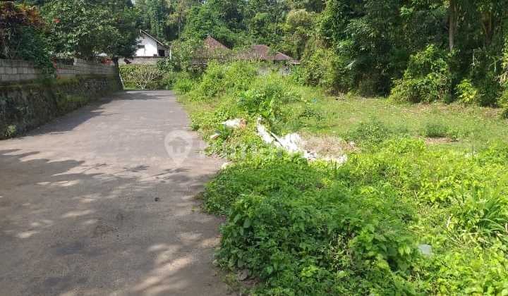 Dijual tanah 100m2 area Desa Bongkasa Abiansemal Badung