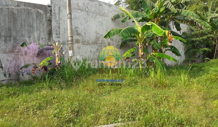Vacant land ready for construction near the factory.