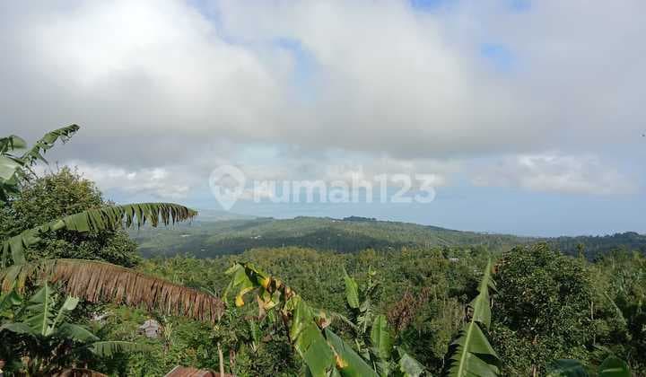 BUC TANAH MURAH VIEW LAUT UTARA BALI