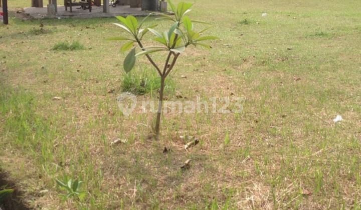 Dijual Cepat Kavling Di Gading Serpong, Sektor 7 B Blok DD 7 ( luas 210 meter ) dan DD 8 ( luas 228 meter)