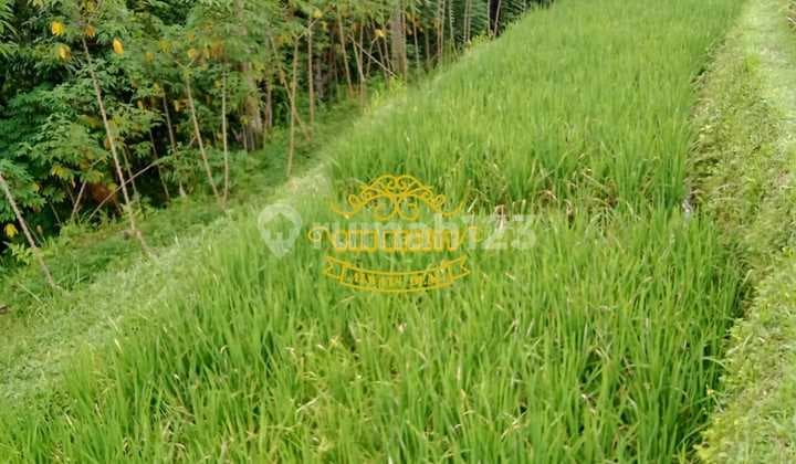 Tanah Jual Lokasi Tegallalang