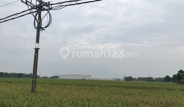 Dijual Tanah Industri, Ploso, Jombang