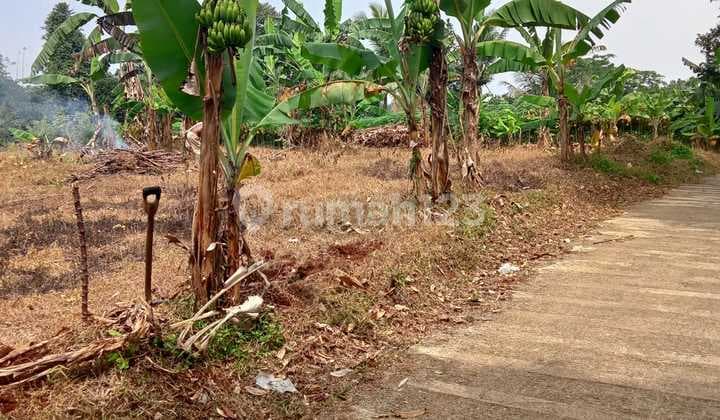 Tanah murah buat investasi ataupun berkebun dicijayanti