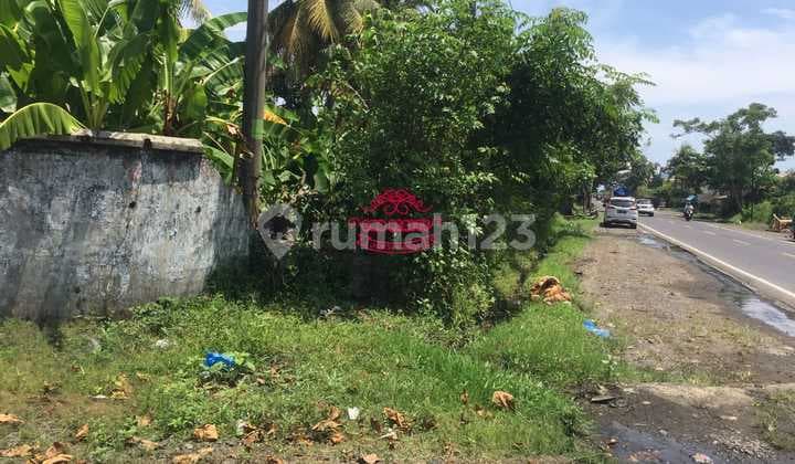 Tanah Jual Lokasi Pulukan