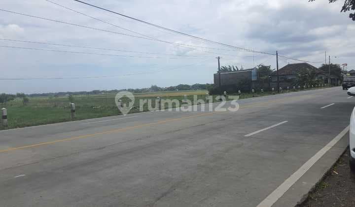 Tanah Plot Industri di Nol Jalan Propinsi Gending Probolinggo