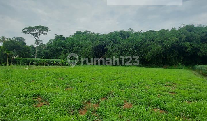 Tanah kosong dekat stasiun harga murah Cilebut Bojong Gede Depok