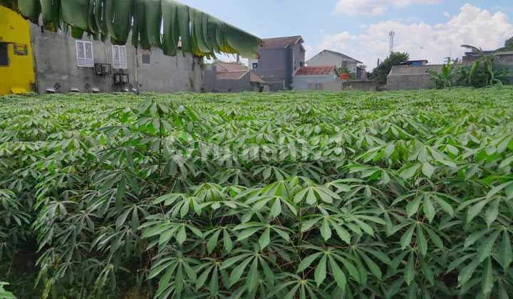 Negotiable Until a Deal, Suitable for Building a Cluster Negotiable Until a Deal, Suitable for Building a Cluster