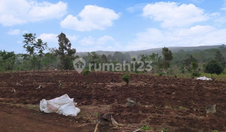 Tanah Dijual di lokasi Strategis Cianjur