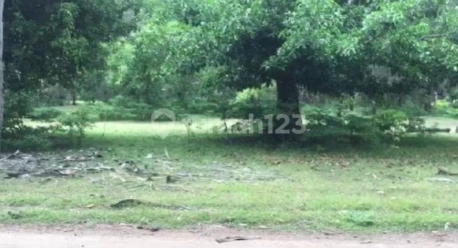 Tanah Flat Contour Sumba Timur Hanya 850juta (global)