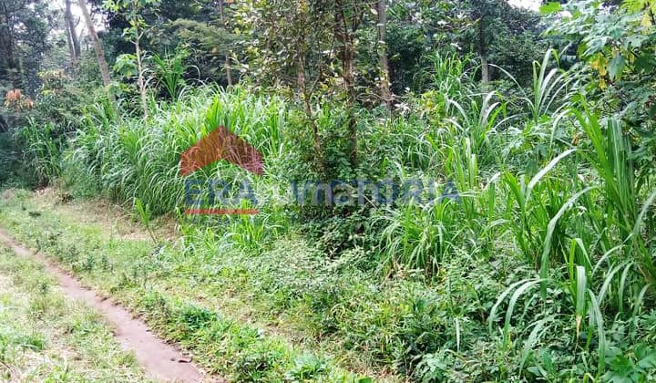 Tanah Luas Di Purwodadi Pasuruan, Jalan Tembusan Krematorium