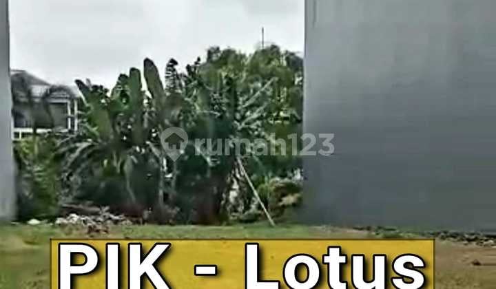Plot of land with a comfortable atmosphere in PIK