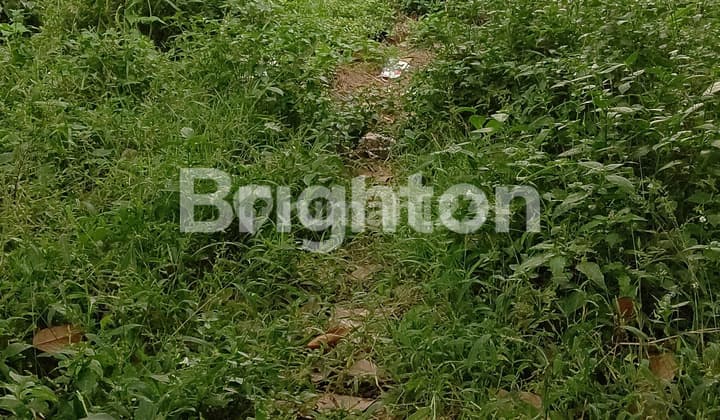 JATIHANDAP LAPANGAN TERBUKA