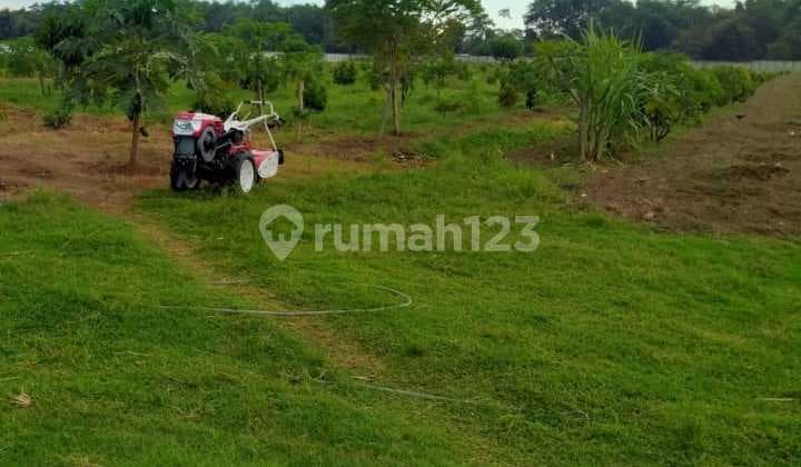 Tanah Kering Pagar Keliling di Gurah Kediri