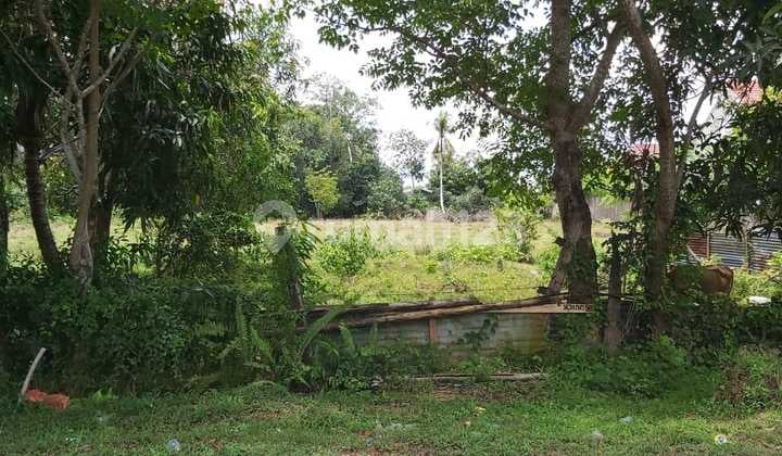 Tanah Matang di Bone