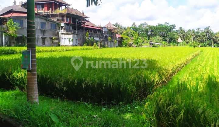 Tanah pinggir jalan aspal view sawah gunung lembah keren cocok vila