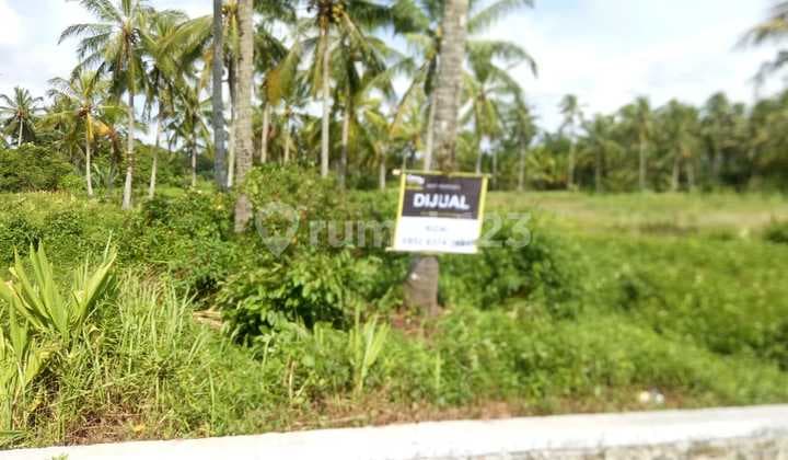 Tanah Jl. Raya Labuan 4,6 Hektar