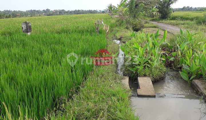 Tanah Jual Lokasi Tangguntiti