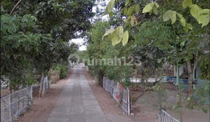 Dijual tanah 928 m2 di Tulungagung Karang Rejo Jawa Timur